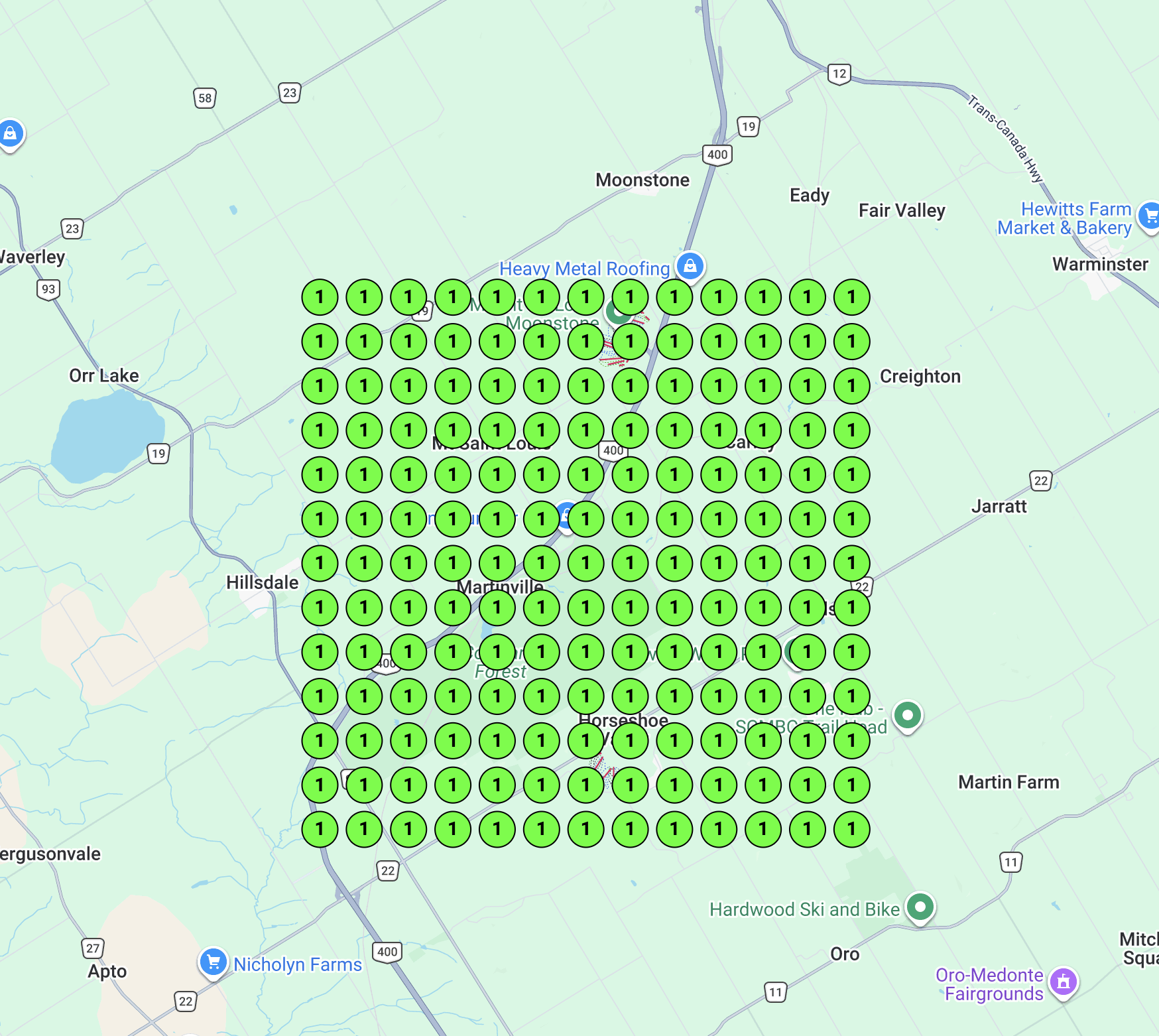 After: Google Maps rankings showing #1 position across the entire service area